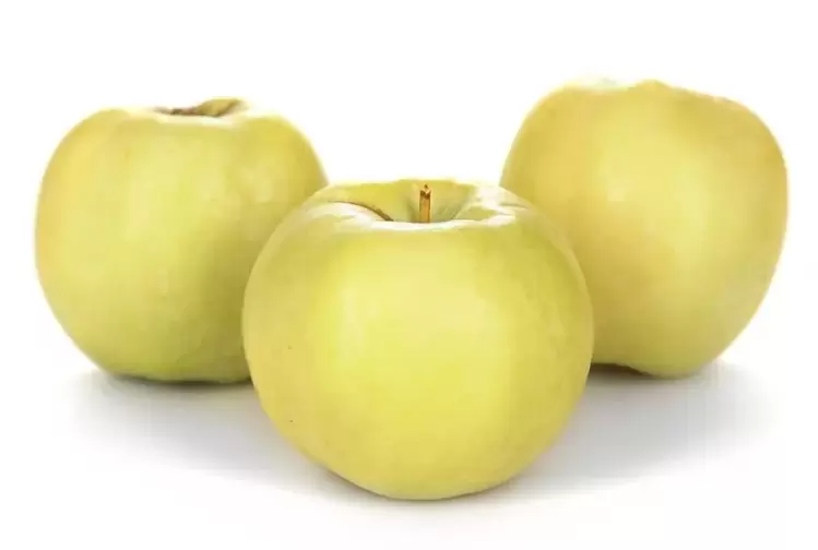 јаболка за третман на проширени вени