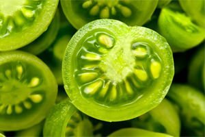 третманот на проширените вени зелени домати